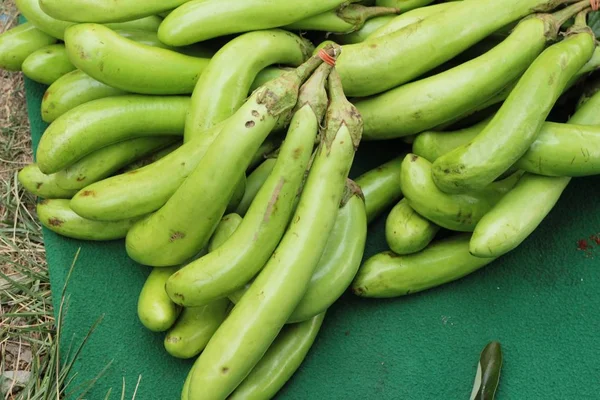 Verse aubergine groen biologisch op de markt — Stockfoto
