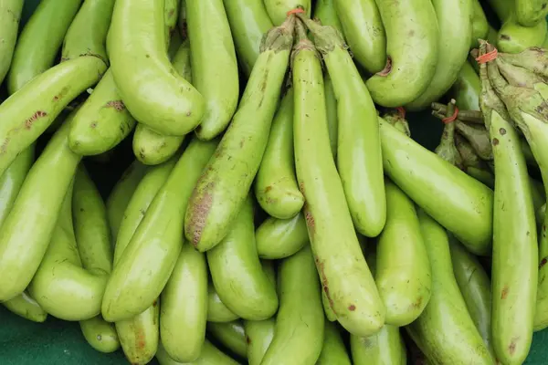 Melanzane fresche verdi biologiche sul mercato — Foto Stock