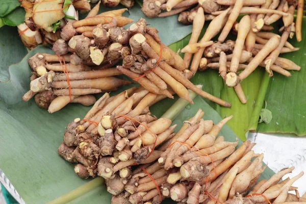 Racine des doigts et le gingembre sur le marché — Photo