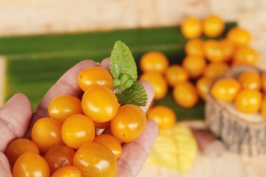 Ahşap arka plan üzerinde organik sarı domates