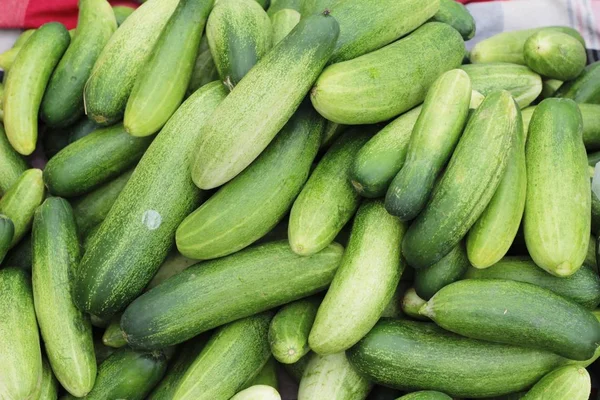 Fresh cucumbers in the market — Stock Photo, Image