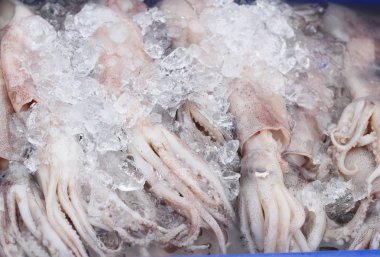 Piyasada taze mürekkep balığı