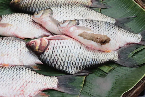 Färsk fisk på marknaden — Stockfoto