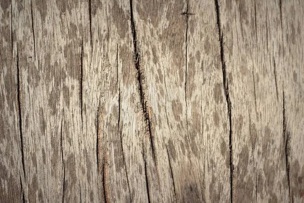 Velho fundo de parede de beleza de madeira e textura — Fotografia de Stock