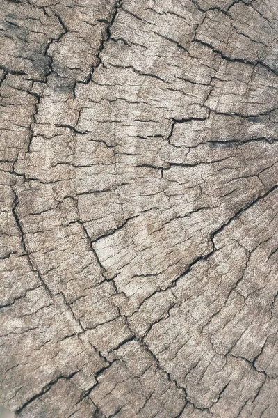 Antiguo fondo de pared de belleza de madera y textura —  Fotos de Stock