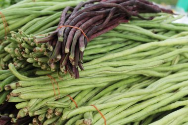 piyasada uzun fasulye