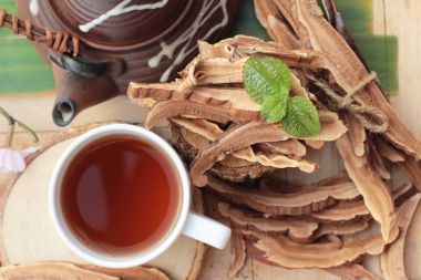 Reishi mantar çayı - Ganoderma Lucidium sağlık için