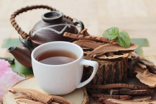 Reishi mantar çayı - Ganoderma Lucidium sağlık için — Stok fotoğraf