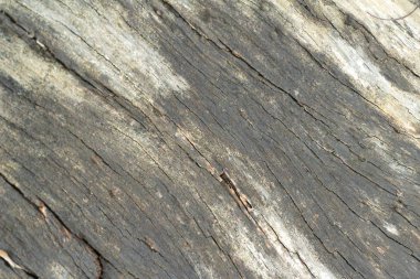 Eski ahşap güzellik duvar arka plan ve doku