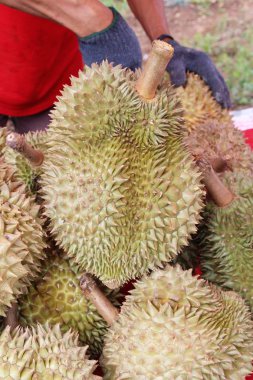 Durian meyve içinde belgili tanımlık çarşı lezzetlidir
