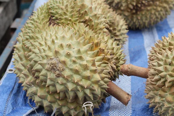 Durian owoców jest pyszne na rynku — Zdjęcie stockowe