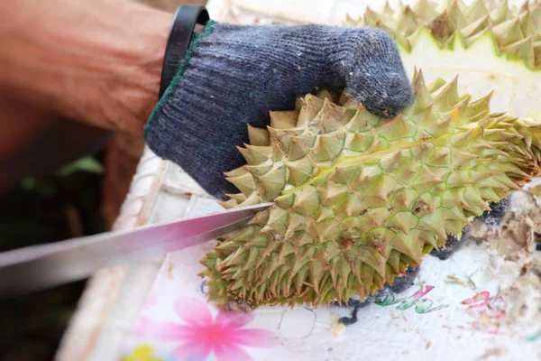 Durian φρούτα είναι νόστιμο στην αγορά — Φωτογραφία Αρχείου