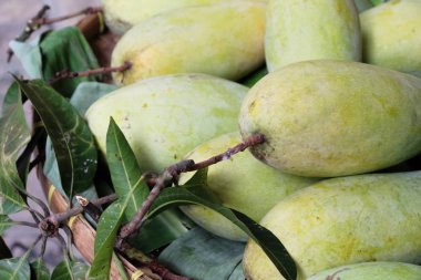 Markette mango meyvesi