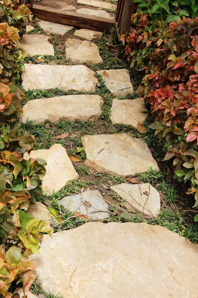 Garden walk way with stone in nature — Stock Photo, Image