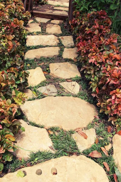 与石头在自然的花园里漫步方式 — 图库照片