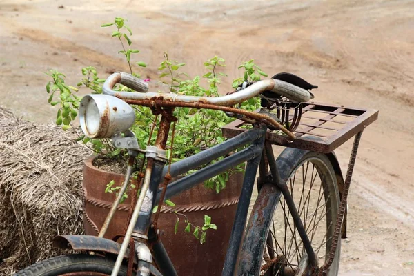 Old bicycle vintage style with the nature — Stock Photo, Image