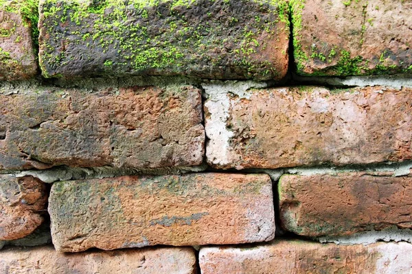 Vecchio muro di mattoni a bellissimo stile vintage — Foto Stock