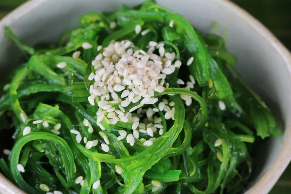 Salade de wakame aux algues délicieuse et sèche les algues — Photo