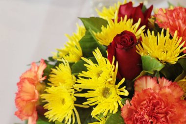 Bahçede güzel renkli çiçek