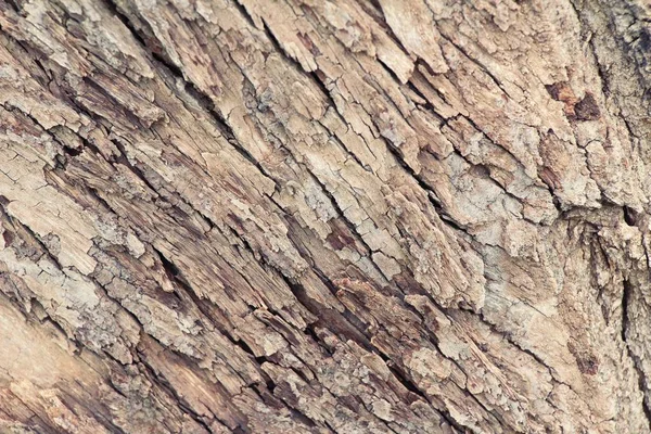 Stare drewniane piękna ściana tło i tekstura — Zdjęcie stockowe