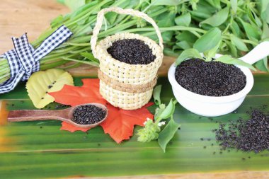 Sağlık ve fesleğen yaprakları için ham fesleğen tohumu