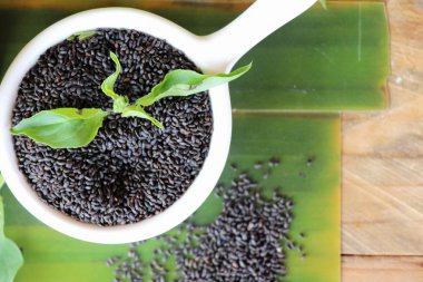 Sağlık ve fesleğen yaprakları için ham fesleğen tohumu