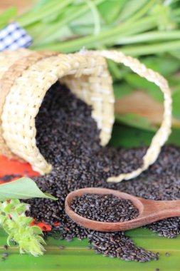 Sağlık ve fesleğen yaprakları için ham fesleğen tohumu