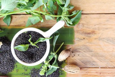 Sağlık ve fesleğen yaprakları için ham fesleğen tohumu