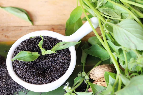 Sağlık ve fesleğen yaprakları için ham fesleğen tohumu