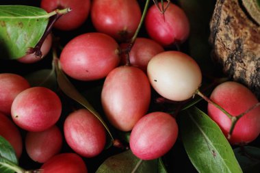 Karonda meyve siyah arka plan üzerine lezzetlidir