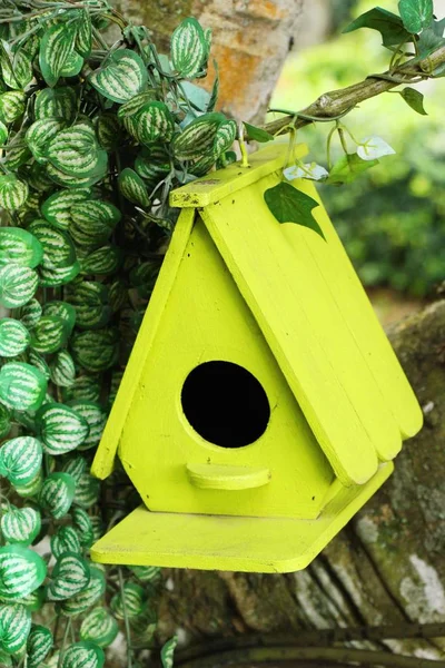 Casa de pássaro de madeira com a natureza — Fotografia de Stock