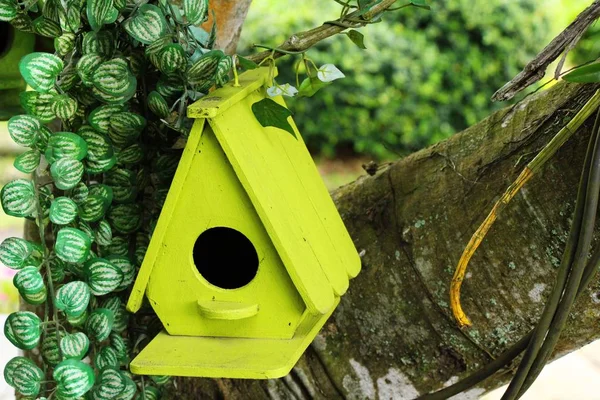 Casa de pássaro de madeira com a natureza — Fotografia de Stock