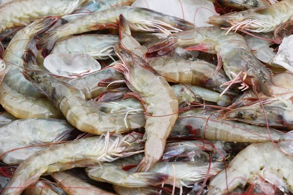 Camarones frescos en el mercado — Foto de Stock