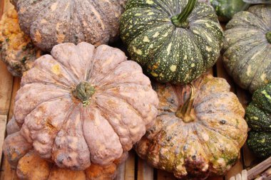 Belgili tanımlık çarşı içinde yemek pişirmek için taze kabak
