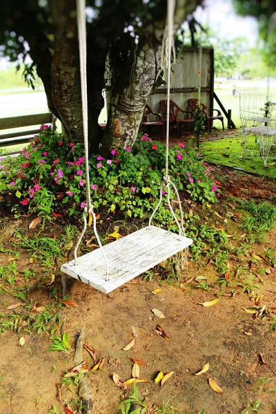 White swing hanging on tree with nature