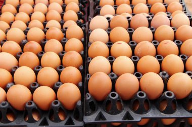 Yumurta pişirme için panelinde