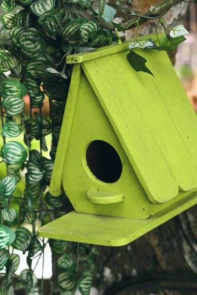 Maison d'oiseaux en bois avec la nature — Photo