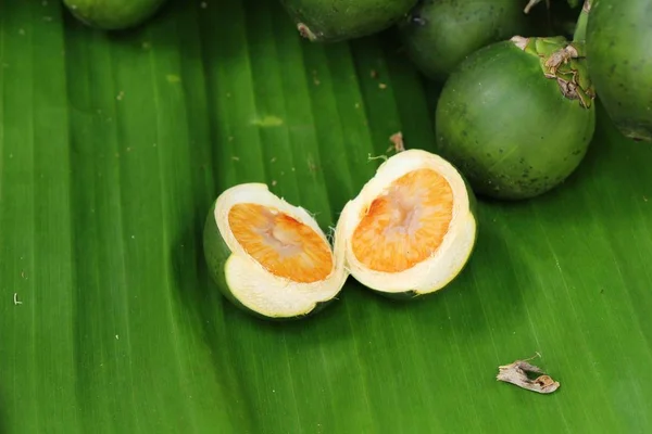 - Betel parm on tree with the nature — Stock Photo, Image