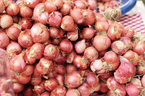 Chalota - la cebolla asiática roja para a la cocción — Foto de Stock