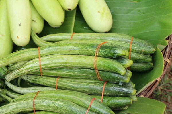 Verse komkommers op de markt — Stockfoto
