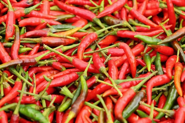 Fresh chilli in the market — Stock Photo, Image