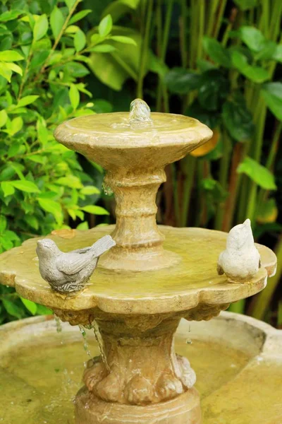 Fontein in de tuin met de schoonheid natuur — Stockfoto