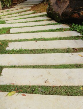 Doğada taşlı Bahçe yürüme yolu