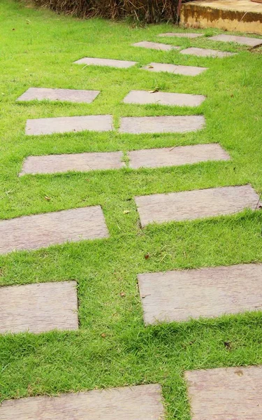 Gartenweg mit Stein in der Natur — Stockfoto