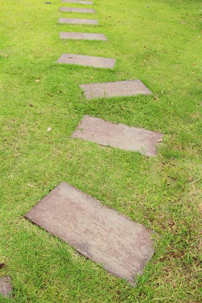 Doğada taşlı Bahçe yürüme yolu