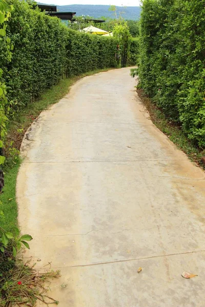 Garden walk way with stone in nature — Stock Photo, Image