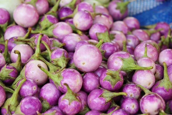 Aubergine fraîche pourpre bio sur le marché — Photo