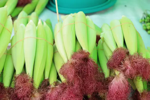 Belgili tanımlık çarşı içinde yemek pişirmek için taze Mısır — Stok fotoğraf