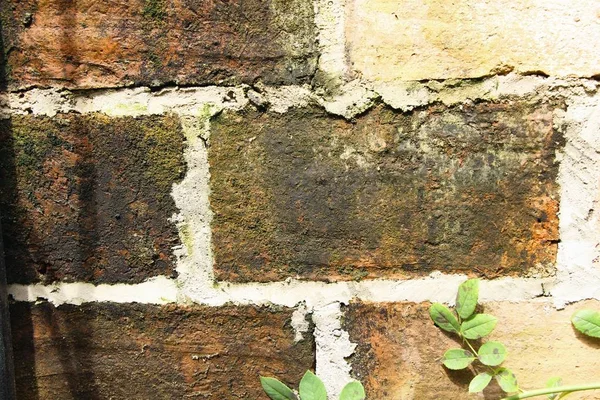 Stary mur z cegły w pięknym stylu vintage — Zdjęcie stockowe