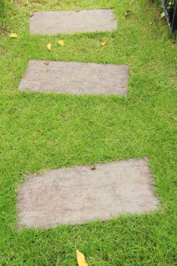 Doğada taşlı Bahçe yürüme yolu